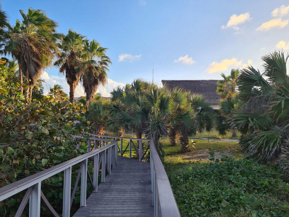 Путь с пляжа.