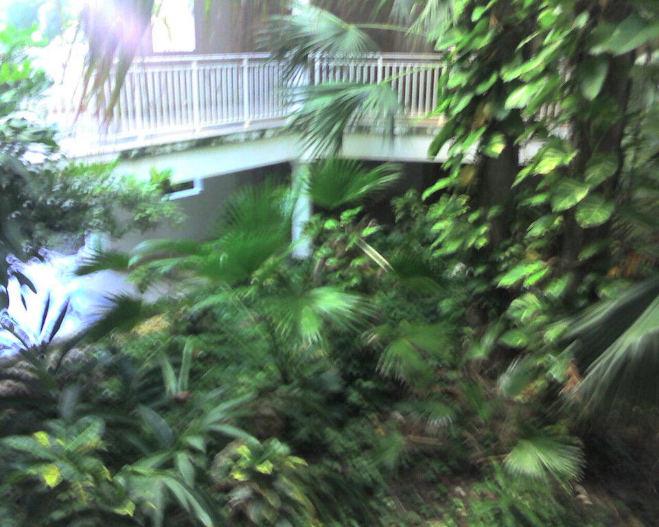 The Rolling Stones — Jumpin' Jack Flash / Куба'2025 (3)