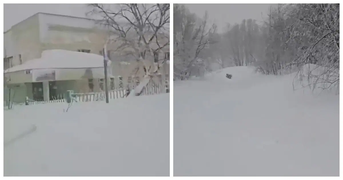 Врач на Камчатке ползком пробирался через сугробы, чтобы доставить кровь в детскую больницу