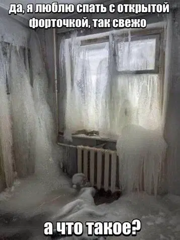 Дичка под новый год