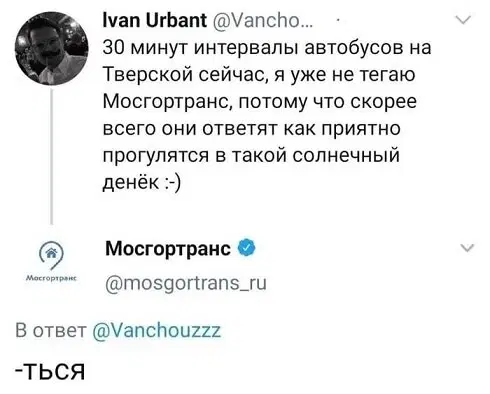 Дичка под новый год