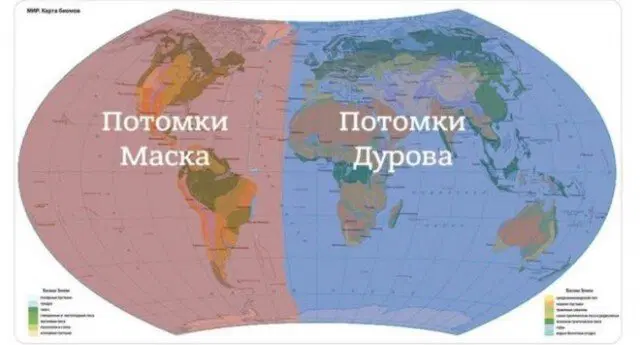 Дичка под новый год