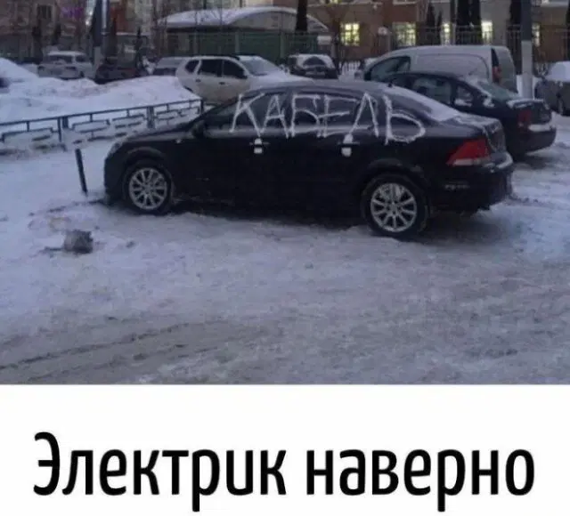 Дичка под новый год