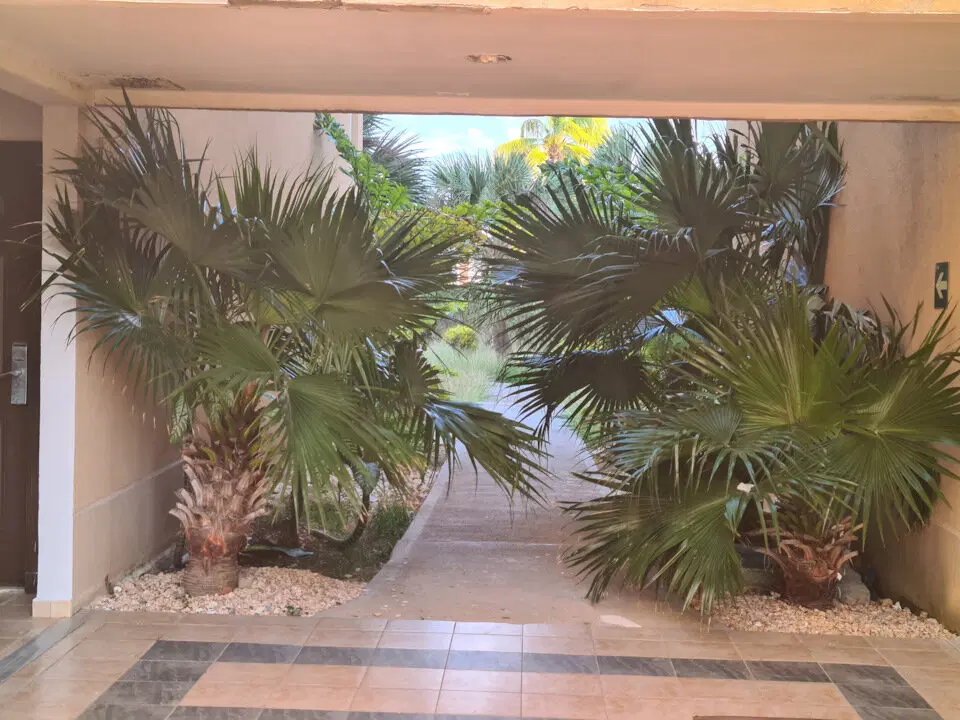 The Rolling Stones — Jumpin' Jack Flash / Куба'2025 (4)