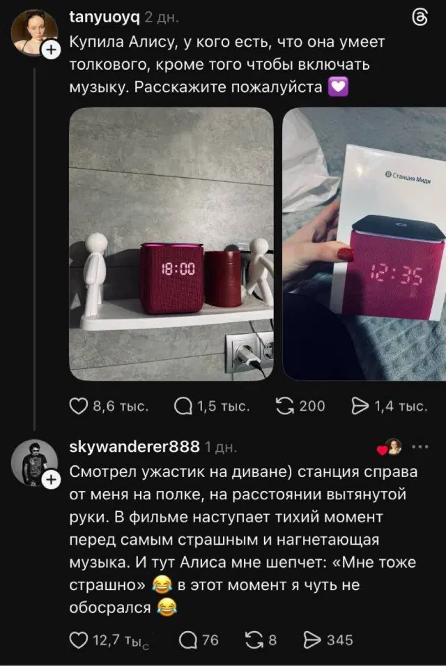 Дичька воскресная Весьма интересная