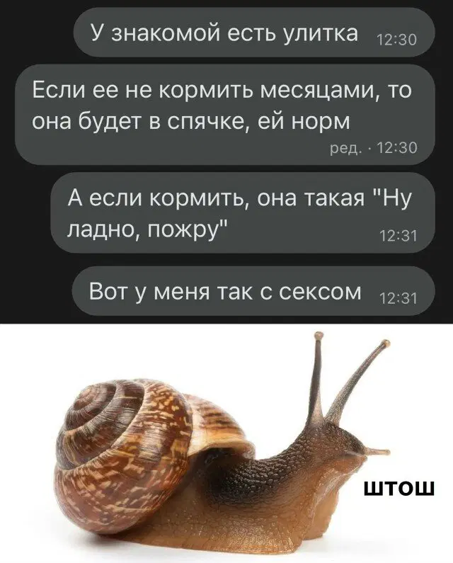 Дичька воскресная Весьма интересная