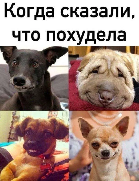 Дичька воскресная Весьма интересная