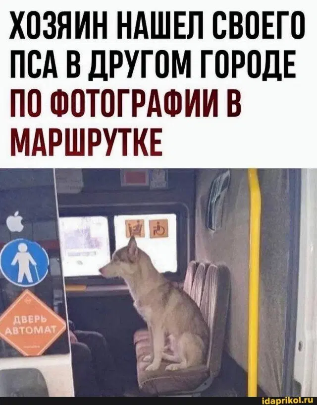 Дичька воскресная Весьма интересная