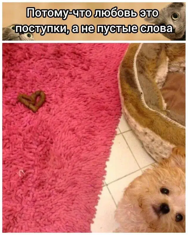 Дичька воскресная Весьма интересная