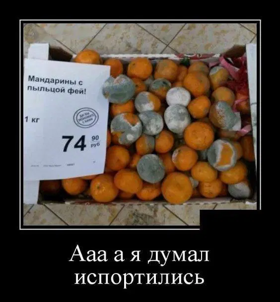 Дичька воскресная Весьма интересная