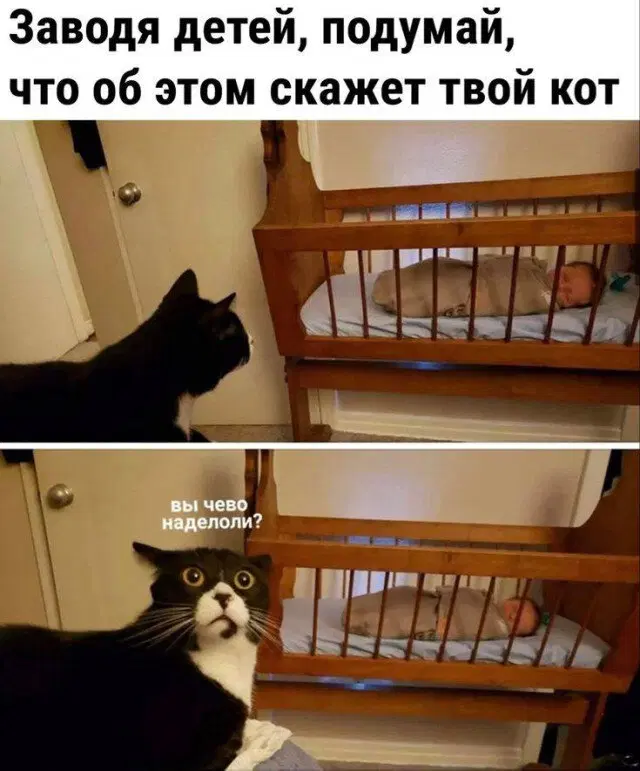 Дичька воскресная Весьма интересная