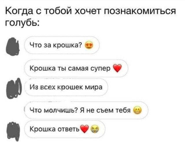 Дичи в радостный понедельник