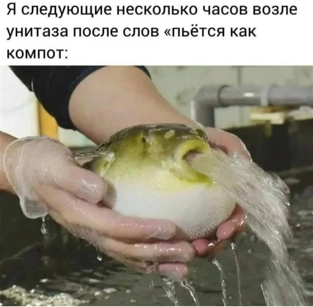 Дичи в радостный понедельник