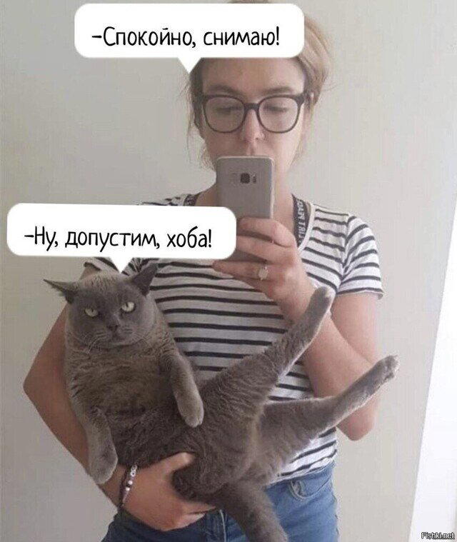 Дичи в радостный понедельник