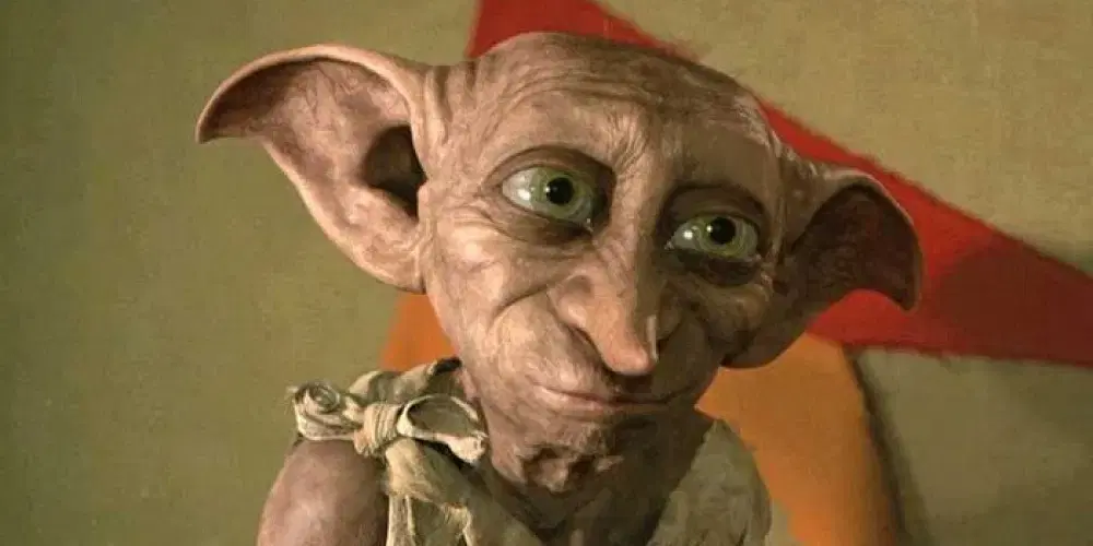 Ивент вомбата. Слово недели - Брезентовка.