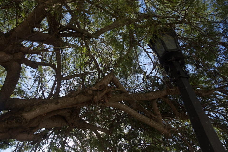 The Rolling Stones — Jumpin' Jack Flash / Куба'2025 (5)