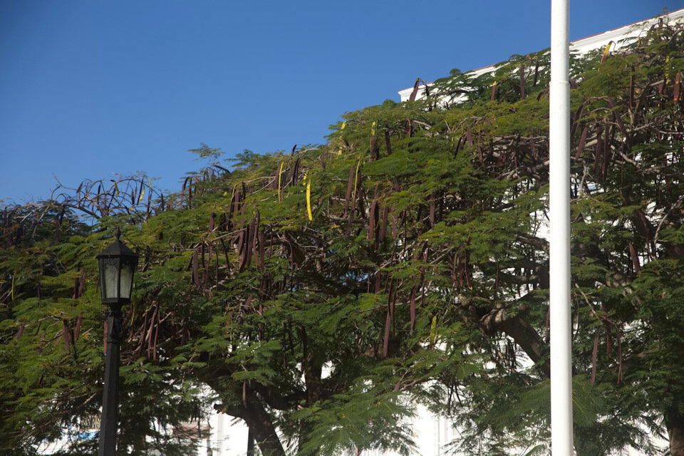 The Rolling Stones — Jumpin' Jack Flash / Куба'2025 (5)