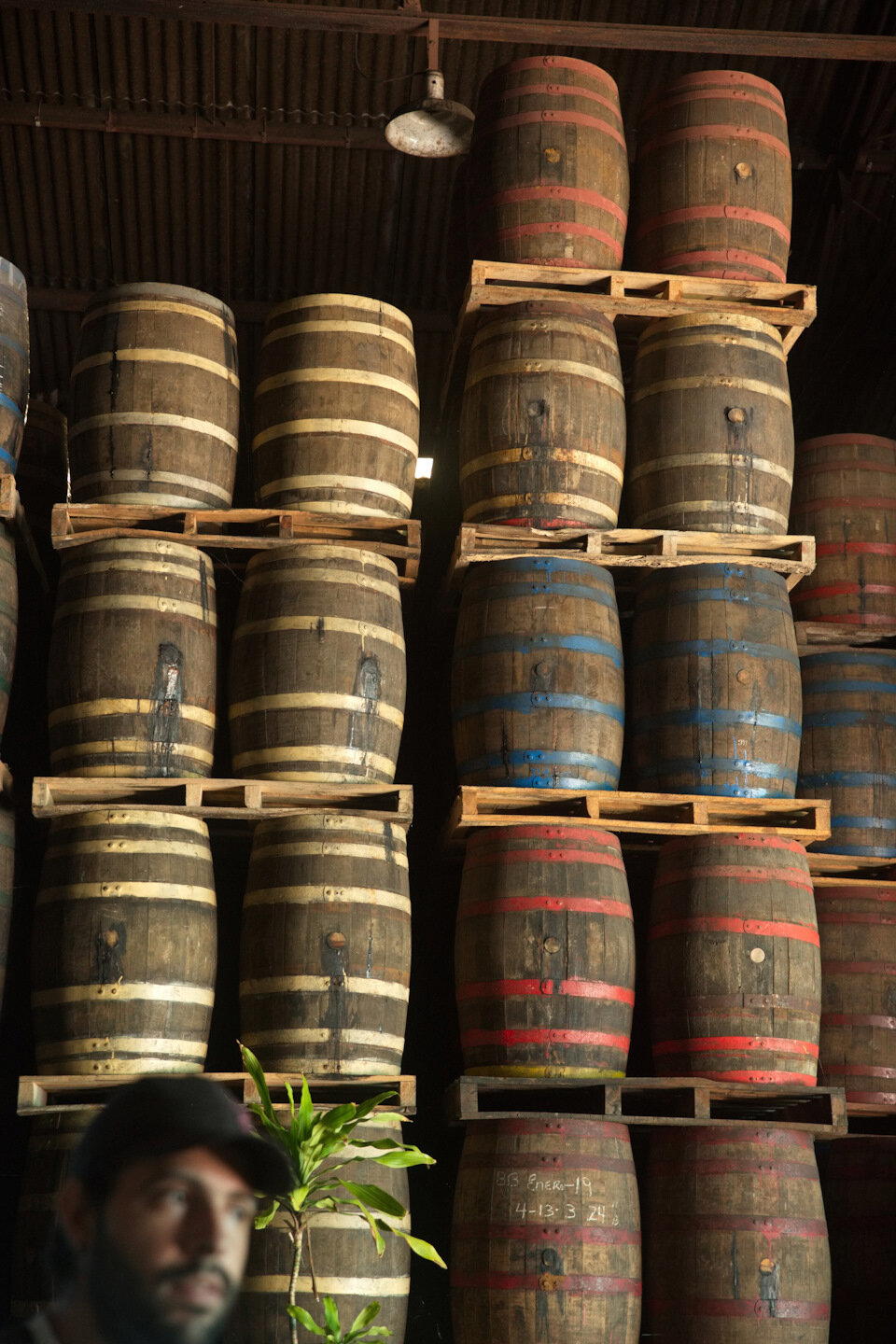 The Rolling Stones — Jumpin' Jack Flash / Куба'2025 (5)