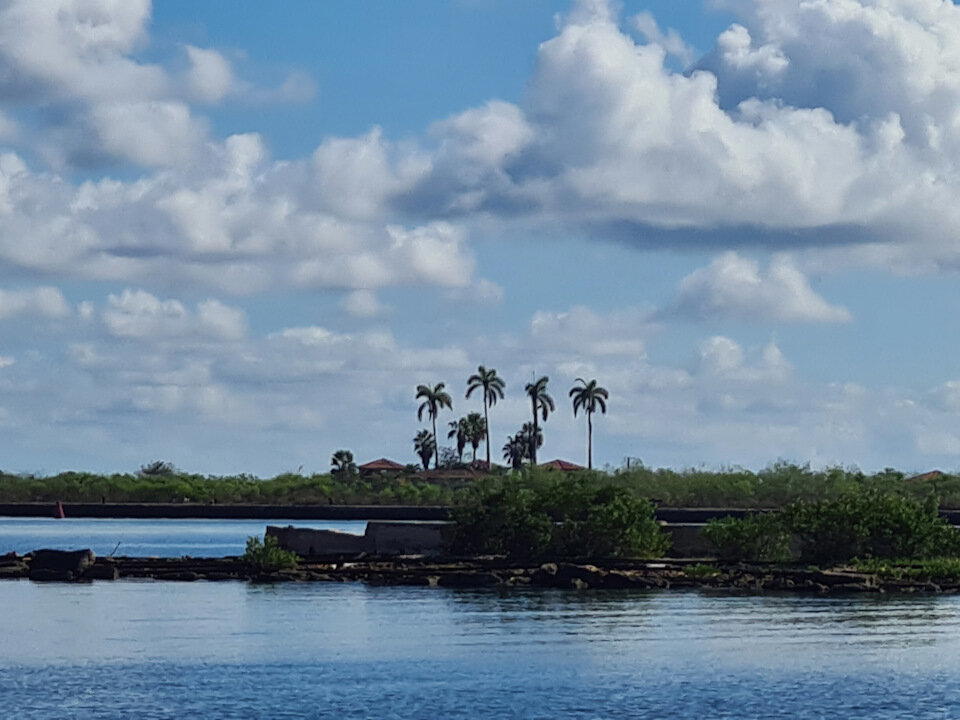 The Rolling Stones — Jumpin' Jack Flash / Куба'2025 (5)