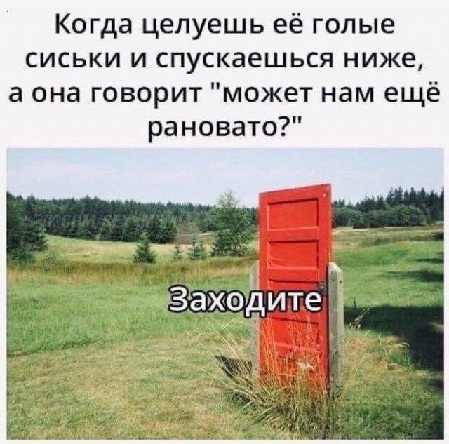 Дичка как понедельника страничка