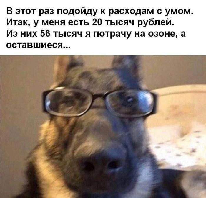 Дичка как понедельника страничка