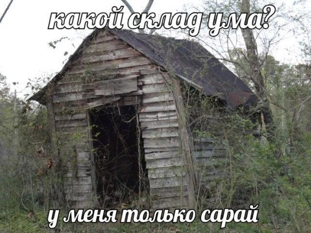 Снег снежок дичи наволок