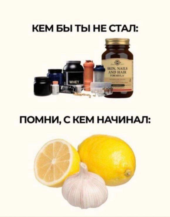 Снег снежок дичи наволок