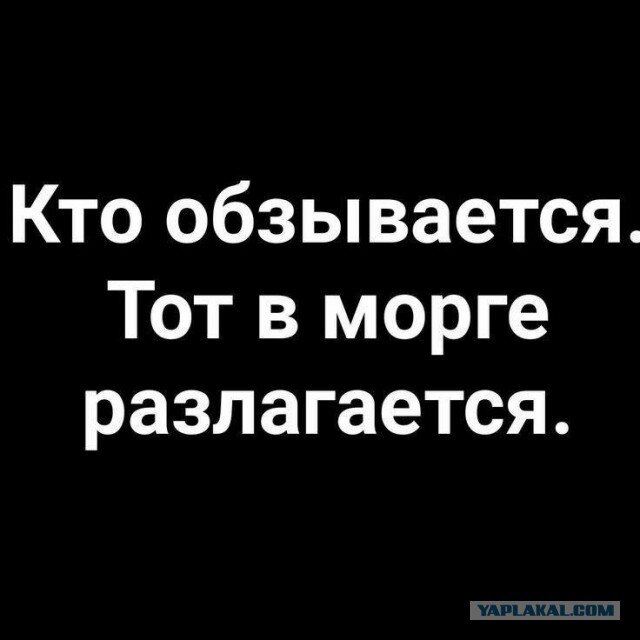 Снег снежок дичи наволок