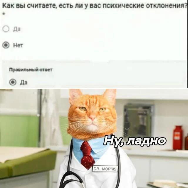 Снег снежок дичи наволок