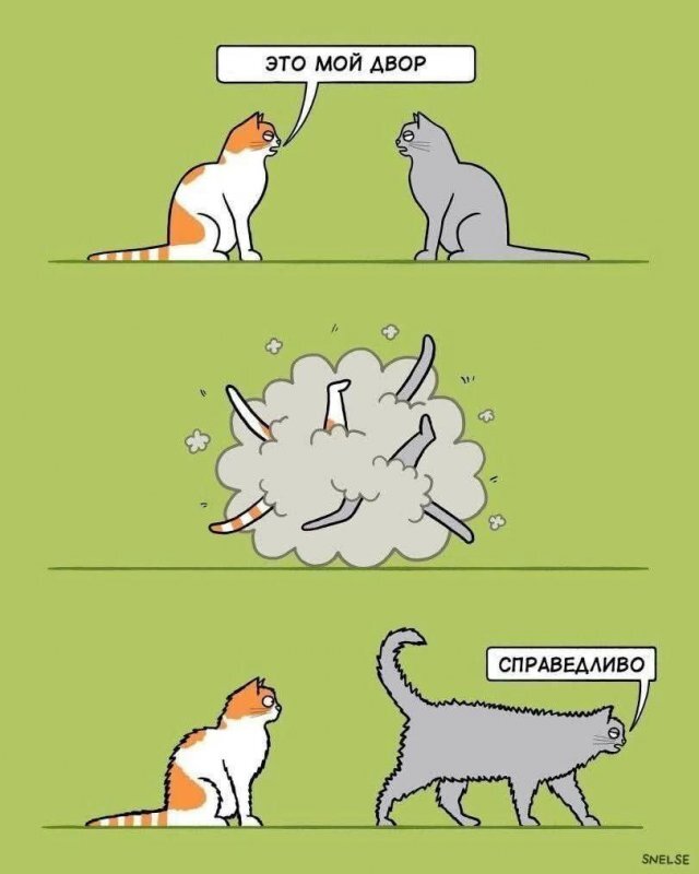 Снег снежок дичи наволок