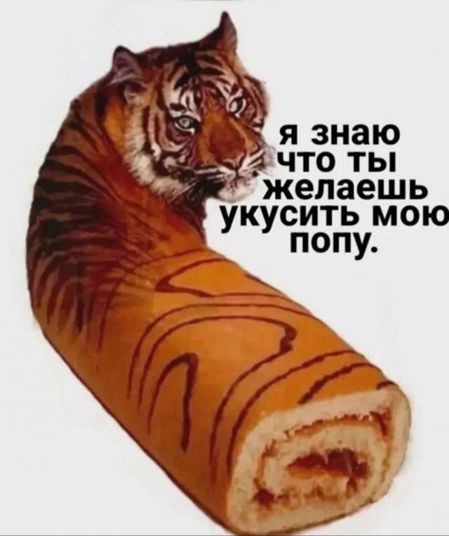 Снег снежок дичи наволок