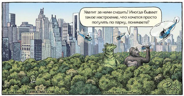Снег снежок дичи наволок