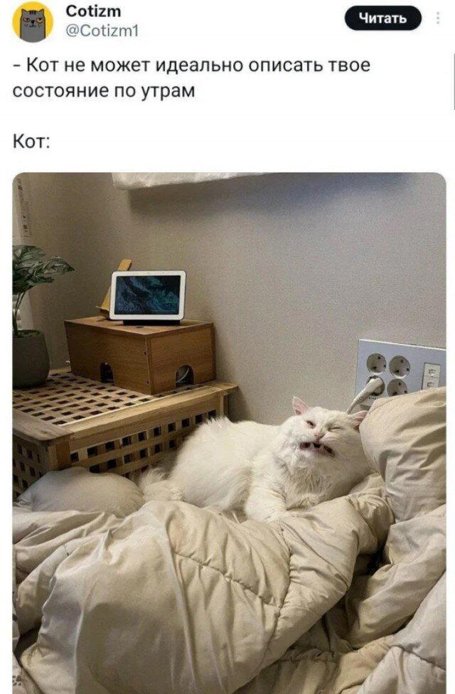 Снег снежок дичи наволок