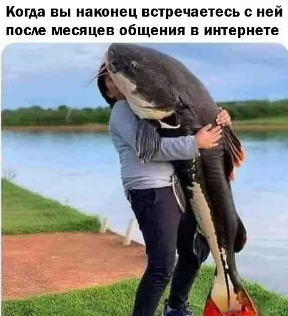 Снег снежок дичи наволок