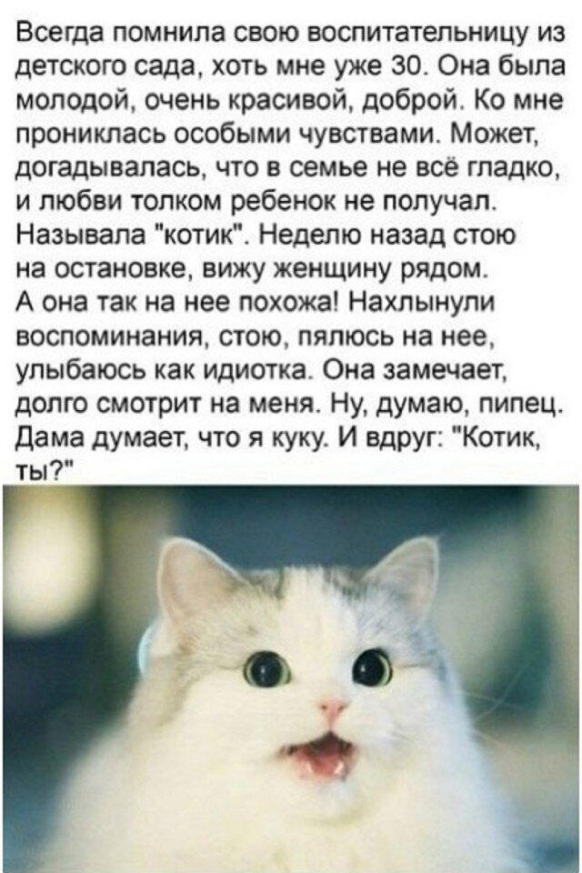 Снег снежок дичи наволок