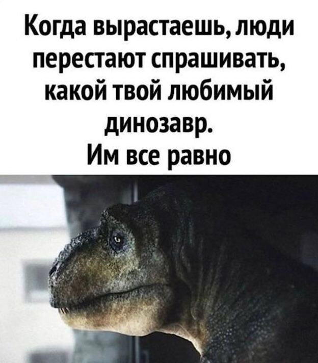 Снег снежок дичи наволок