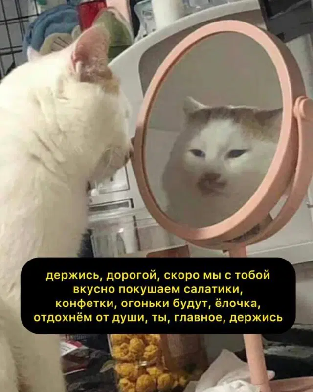 А может дички на конец.... Года