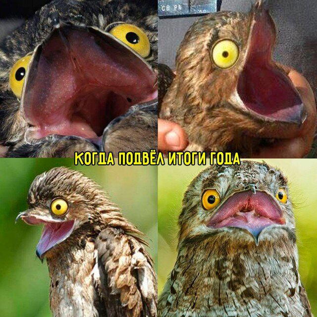 А может дички на конец.... Года