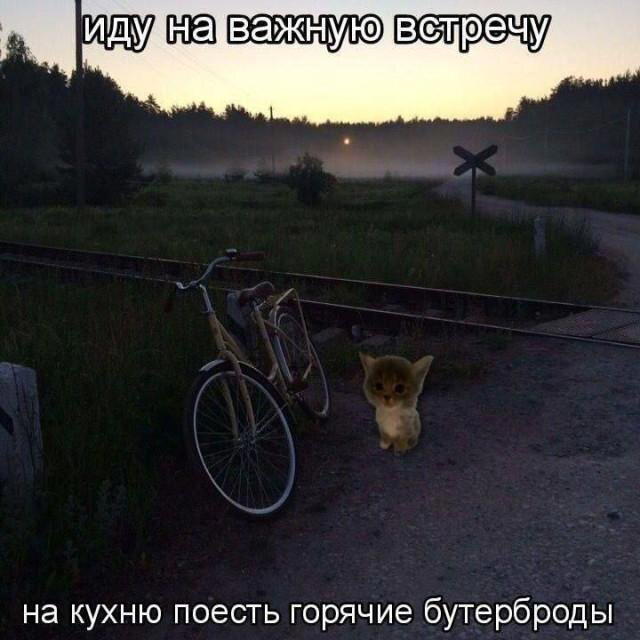 Дичку для оливье