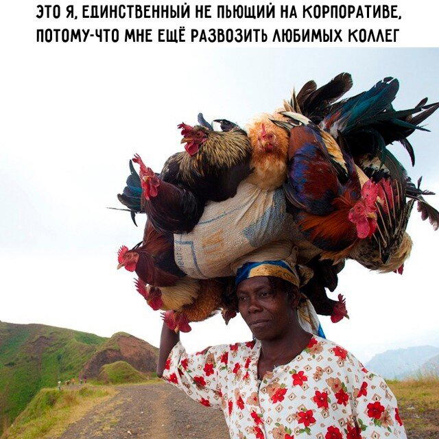 Дичку для оливье