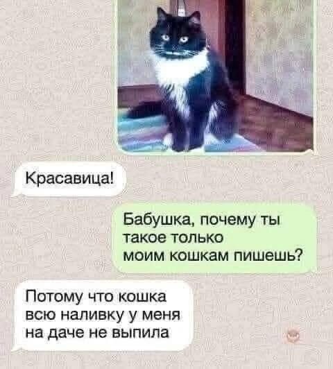Дичку для оливье