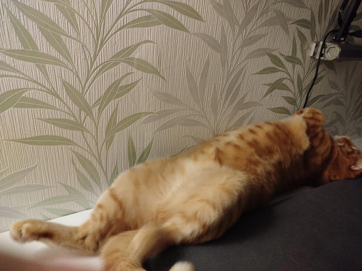 Поздравляю всех и желаю самого доброго!