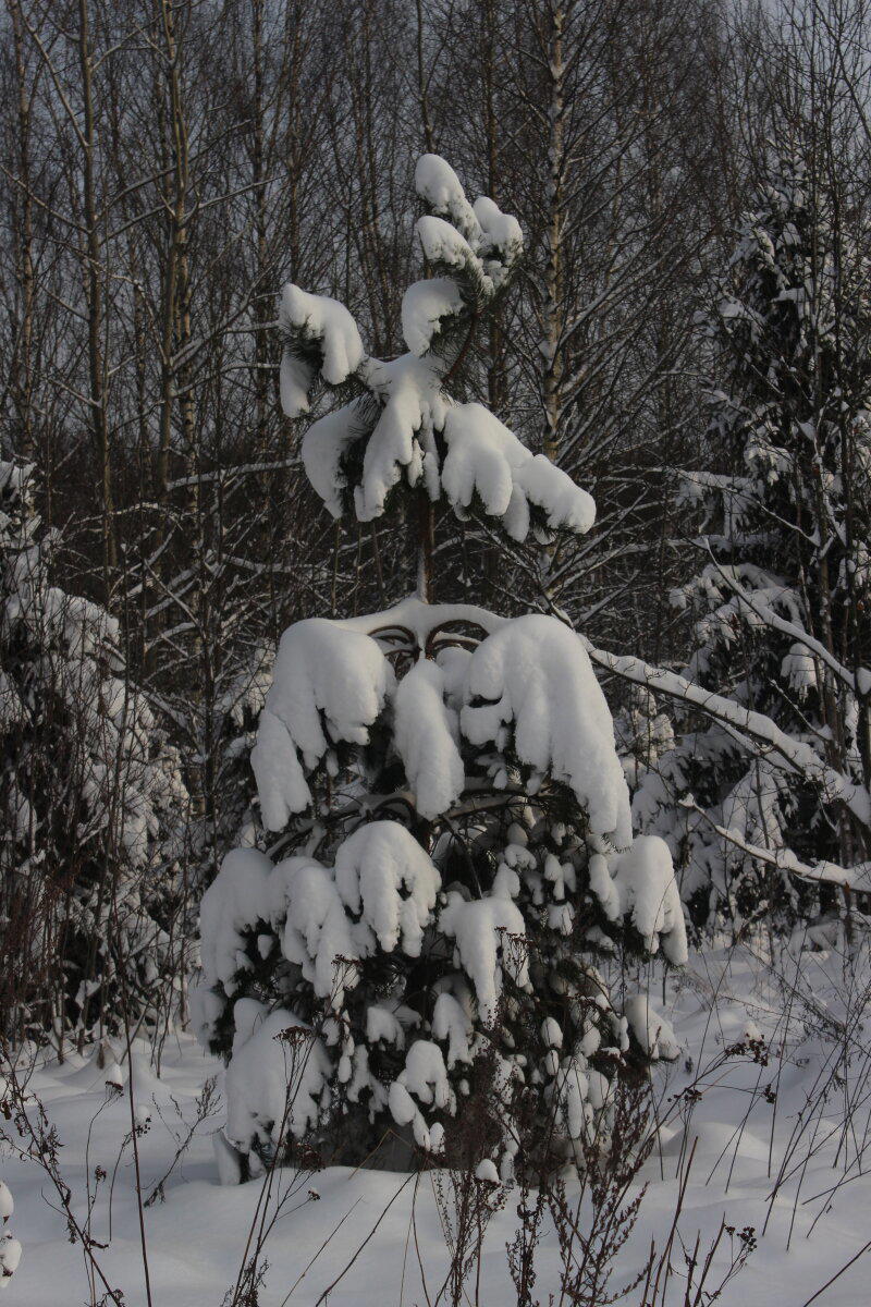Первое утро нового года