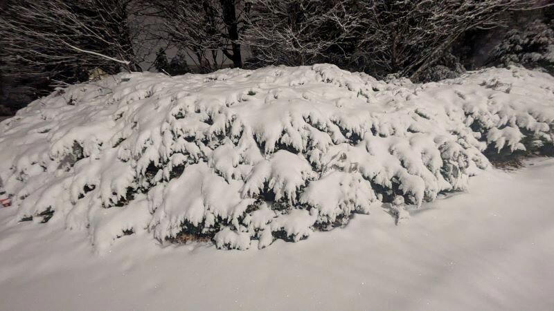 В январе, в январе много снегу на дворе. (Самуил Маршак)
