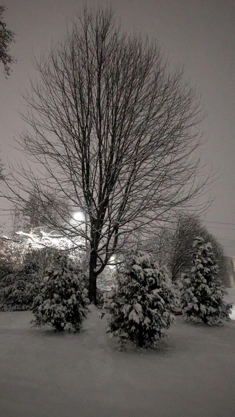 Вечер — бабушкины сказки... (Афанасий Фет)