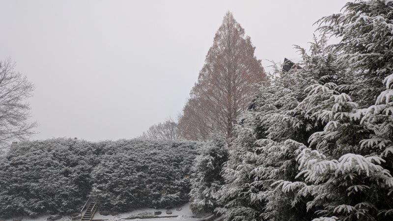 Вот она — зима!.. (Афанасий Фет)