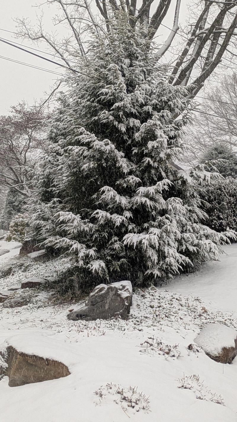 Грязи нет, весь двор одело, посветлело, побелело — видно, есть мороз. (Афанасий Фет)