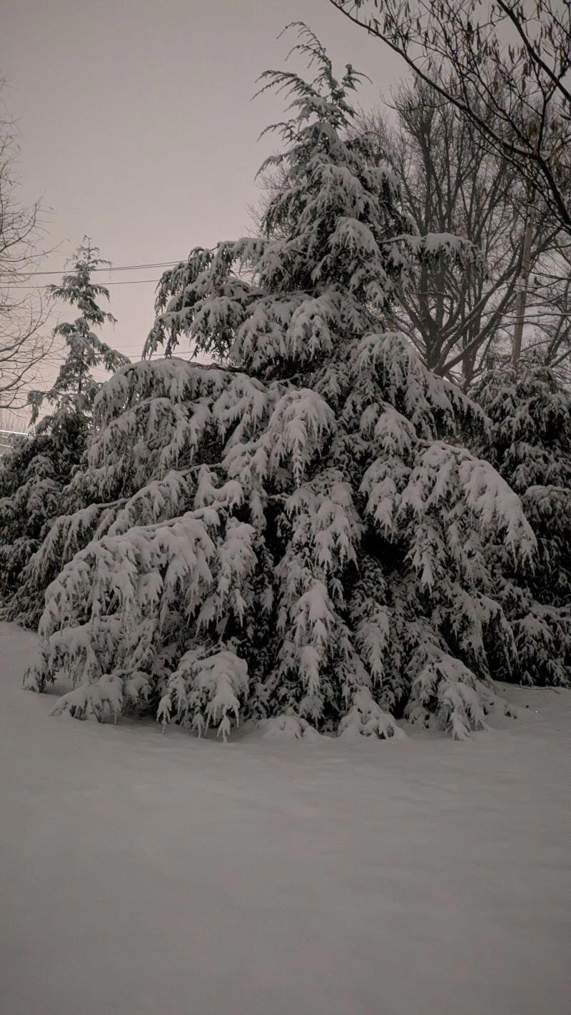 Ночь светла, мороз сияет, выходи — снежок хрустит... (Афанасий Фет, 1847)