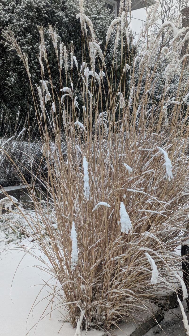 Открываем календарь...