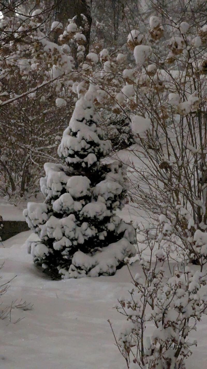 Открываем календарь...
